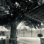 Гостевой дом La Des Roses - & 4*