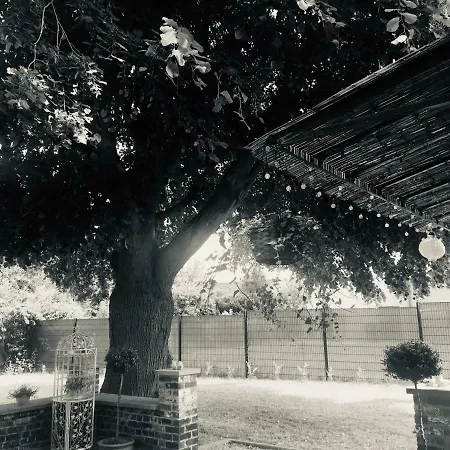 Maison d'hôtes La Des Roses - Suite&spa *